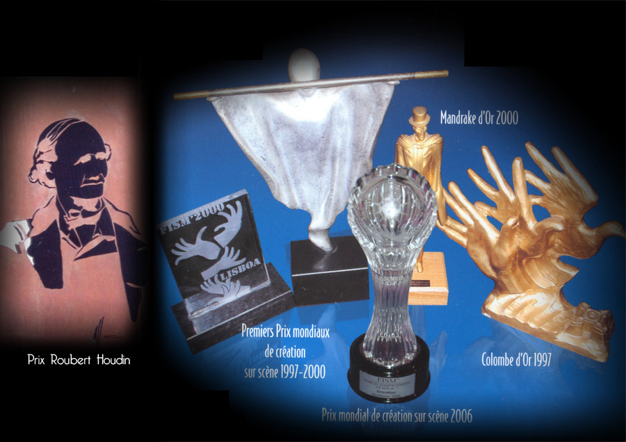 Trophées et prix internationaux de Mickaël Ross